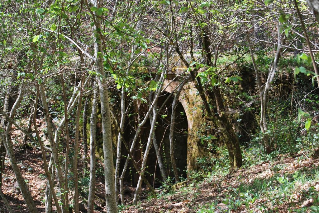 Casa Rural La Cuadraa Linares de Riofrío Kültér fotó