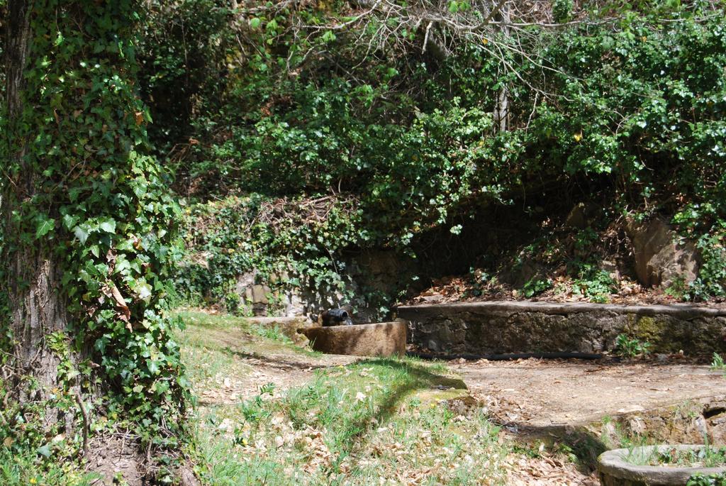 Casa Rural La Cuadraa Linares de Riofrío Kültér fotó
